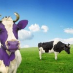 purple-cow-going-indie.4-200x200